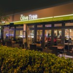 The Olive Tree