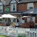 The Cricketers